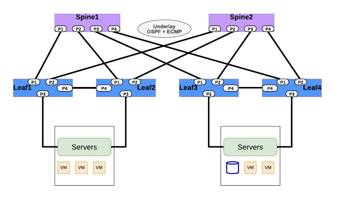 OSPF Routing